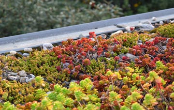 the cost of Hampton Heath green roof installation