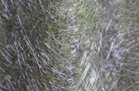 Hampton Heath fibreglass roof work